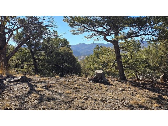 4510 Iannelli Rd, Fort Garland, CO 81133
