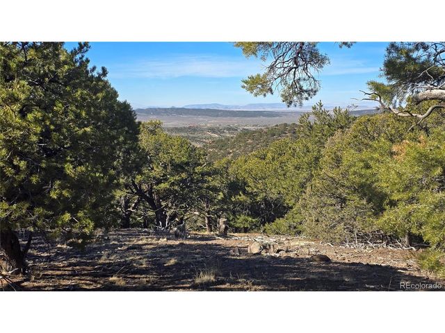 4510 Iannelli Rd, Fort Garland, CO 81133