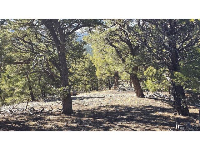 4510 Iannelli Rd, Fort Garland, CO 81133