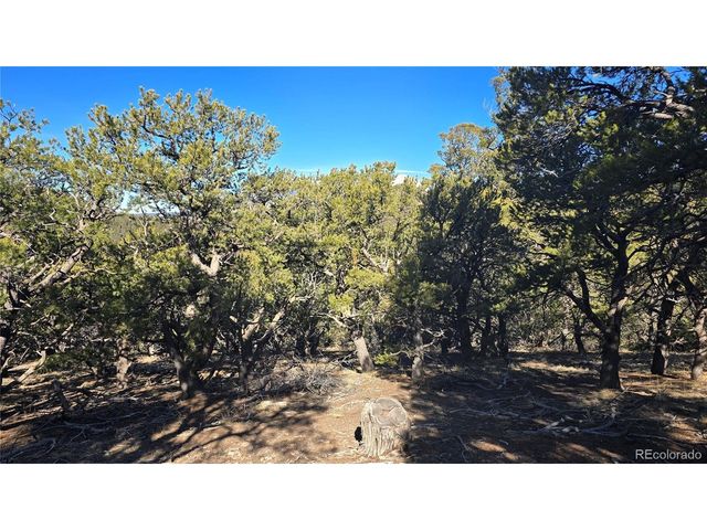 4510 Iannelli Rd, Fort Garland, CO 81133