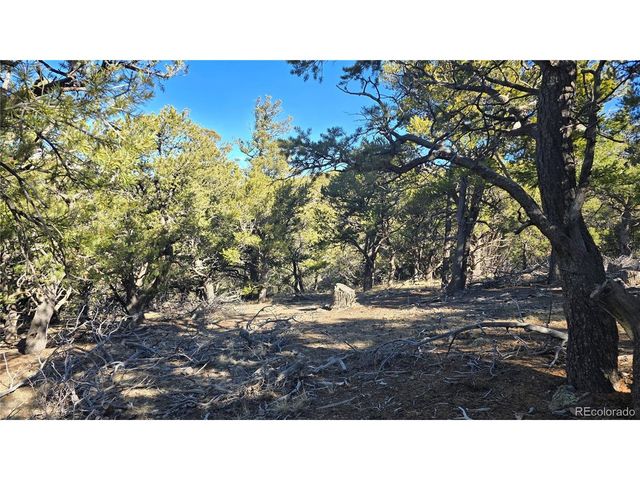 4510 Iannelli Rd, Fort Garland, CO 81133