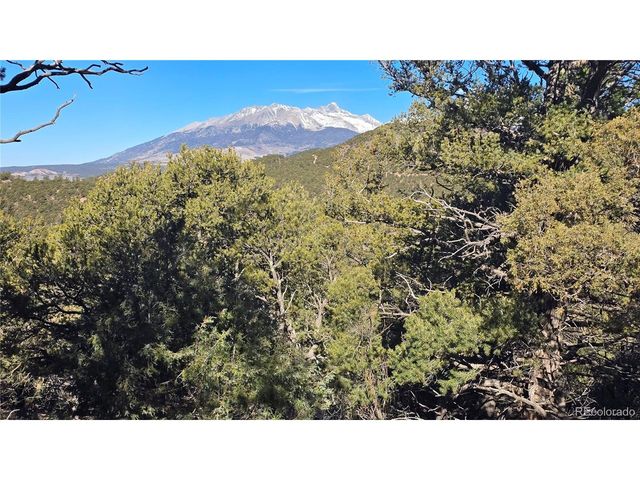 4510 Iannelli Rd, Fort Garland, CO 81133