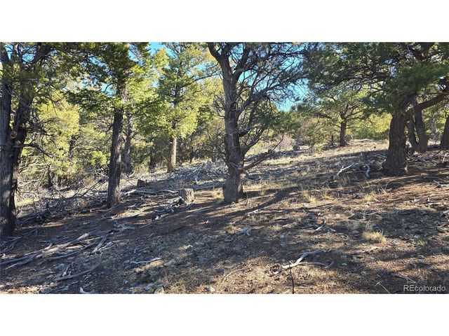 4510 Iannelli Rd, Fort Garland, CO 81133