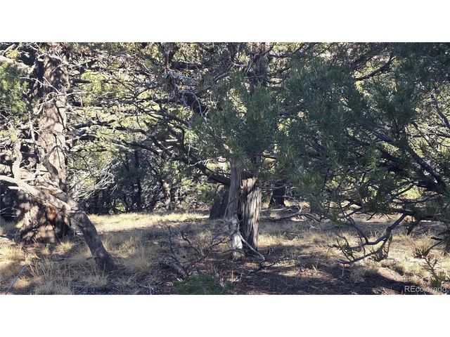 4510 Iannelli Rd, Fort Garland, CO 81133