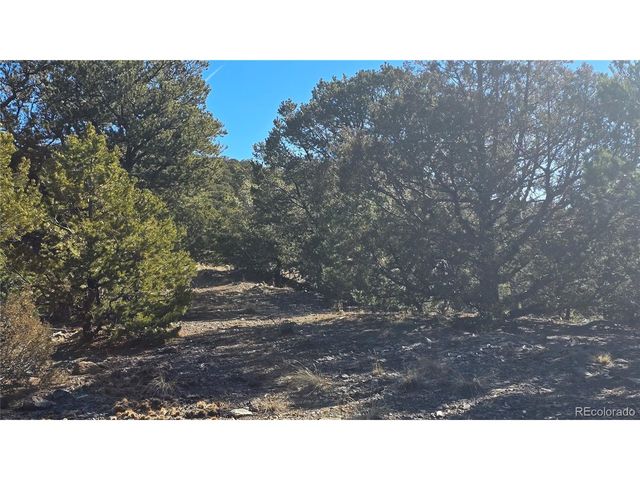 4510 Iannelli Rd, Fort Garland, CO 81133