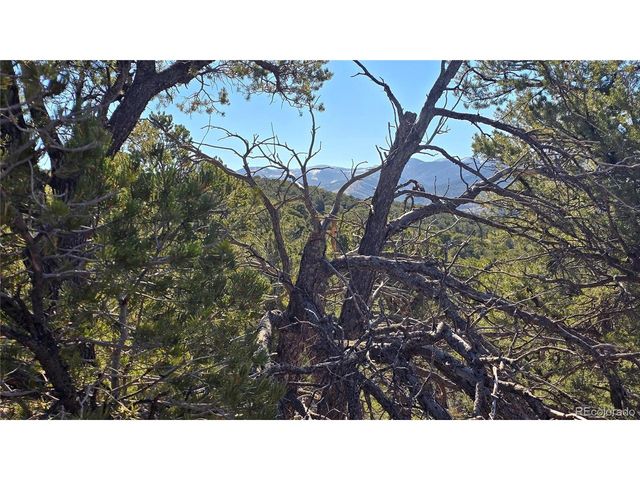 4510 Iannelli Rd, Fort Garland, CO 81133