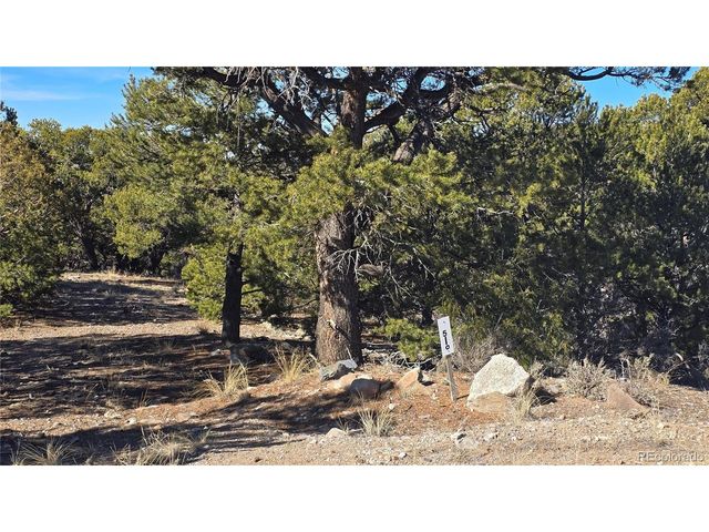 4510 Iannelli Rd, Fort Garland, CO 81133