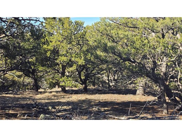 4510 Iannelli Rd, Fort Garland, CO 81133