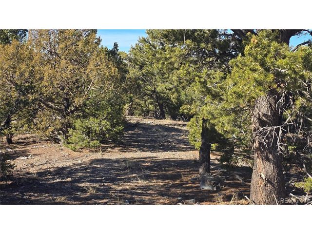 4510 Iannelli Rd, Fort Garland, CO 81133