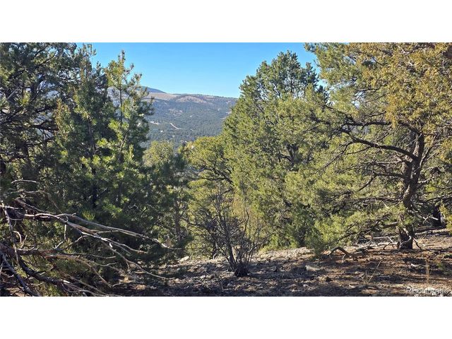 4510 Iannelli Rd, Fort Garland, CO 81133