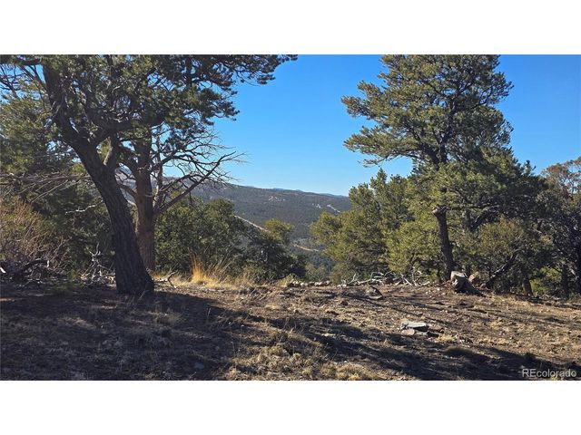 4510 Iannelli Rd, Fort Garland, CO 81133