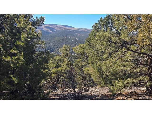 4510 Iannelli Rd, Fort Garland, CO 81133