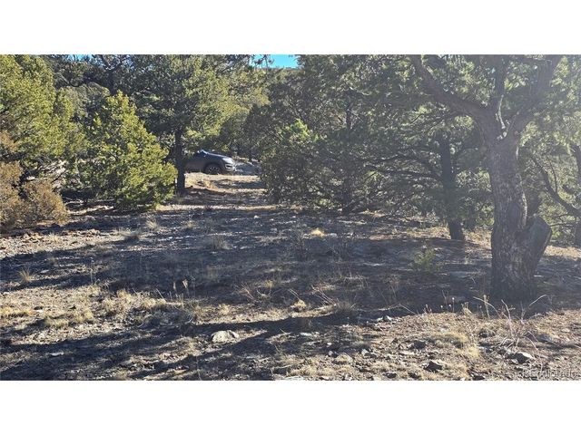 4510 Iannelli Rd, Fort Garland, CO 81133
