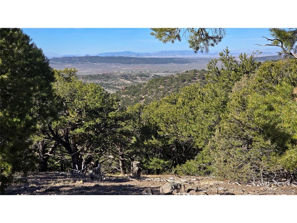 4510 Iannelli Rd, Fort Garland, CO 81133