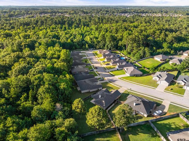 19890 Meadow West Lane, Flint, TX 75762