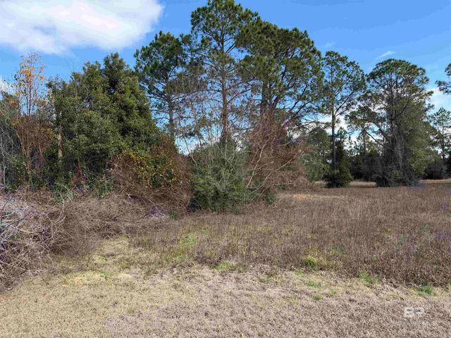 31849 Randolf Avenue, Lillian, AL 36549