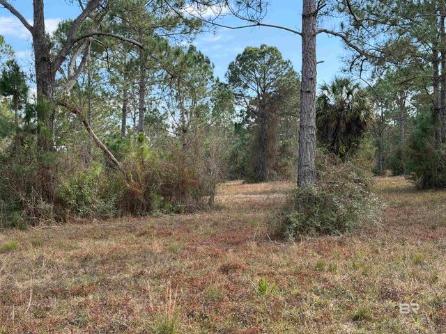 31849 Randolf Avenue, Lillian, AL 36549