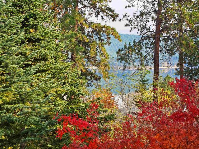 1221 S Garry Rd, Liberty Lake, WA 99019