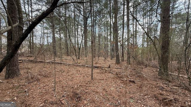 9127 E Carroll Road, Winston, GA 30187