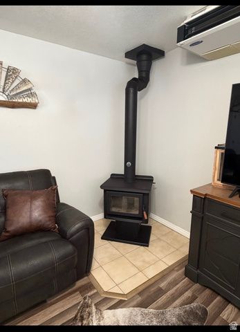 246 S 200 E, Mt Pleasant, UT 84647