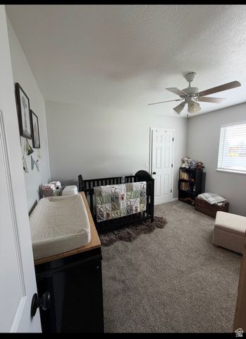 246 S 200 E, Mt Pleasant, UT 84647