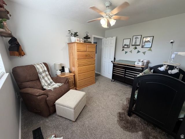 246 S 200 E, Mt Pleasant, UT 84647