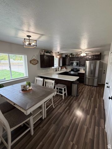 246 S 200 E, Mt Pleasant, UT 84647