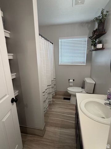 246 S 200 E, Mt Pleasant, UT 84647