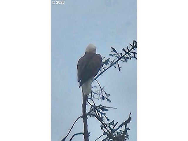 267 Se TIDE Ave, Lincoln City, OR 97367