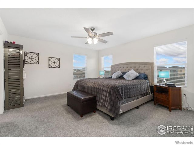 3202 Loomis Lake Court, Loveland, CO 80538