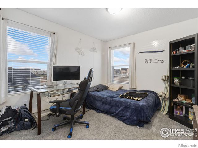 3202 Loomis Lake Court, Loveland, CO 80538