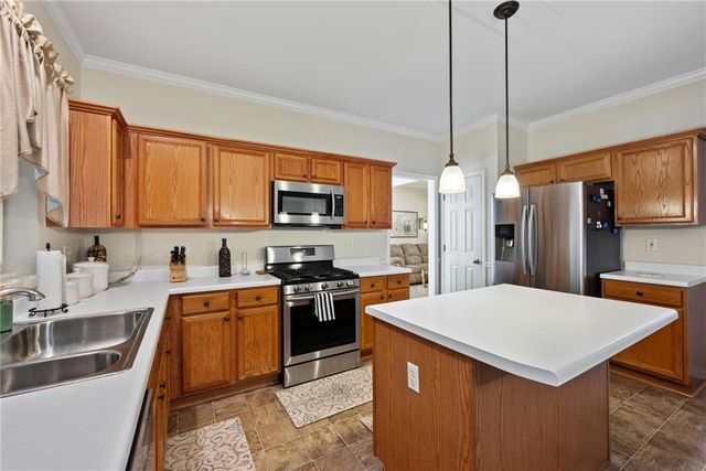 3910 Lake Lanier Drive, Duluth, GA 30097