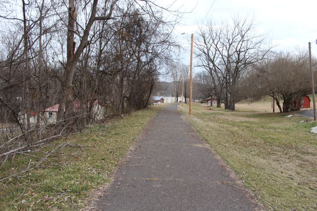 208 Pulley St, Erin, TN 37061