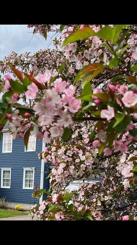 138 Pine Tree Lane, Raynham, MA 02767