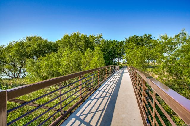 6626 Luckey Tree, San Antonio, TX 78252