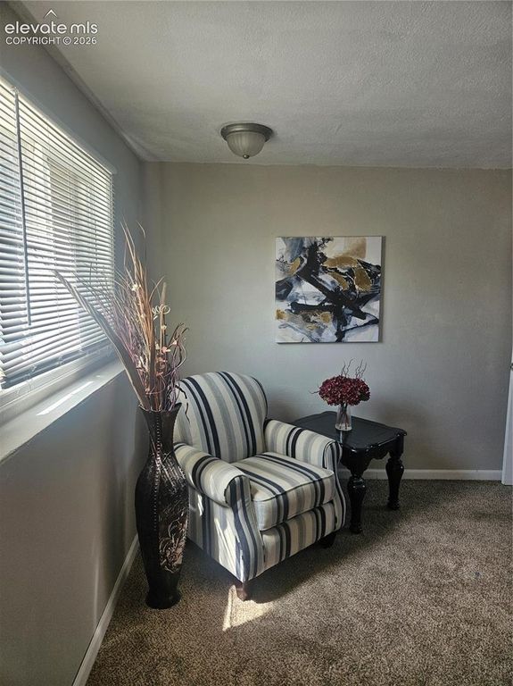 54 Bridle Trail, Pueblo, CO 81005 — photo 5