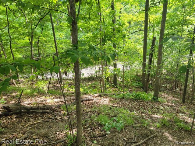 1716 Deepwood Circle 43, Rochester, MI 48307