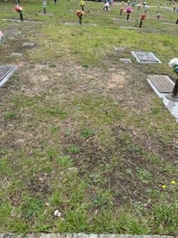 45V Evergreen, Sumter, SC 29150