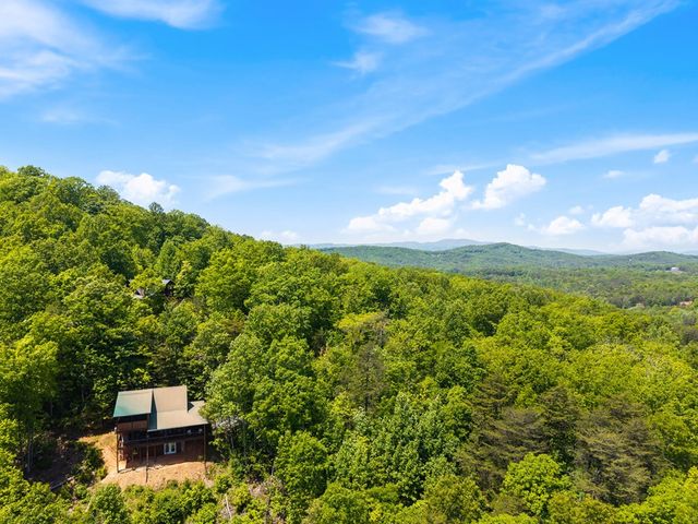 161 Huntington Way, Blue Ridge, GA 30513