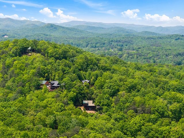 161 Huntington Way, Blue Ridge, GA 30513