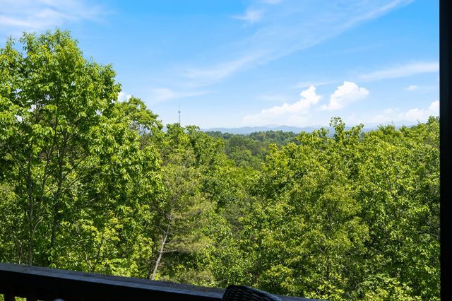 161 Huntington Way, Blue Ridge, GA 30513
