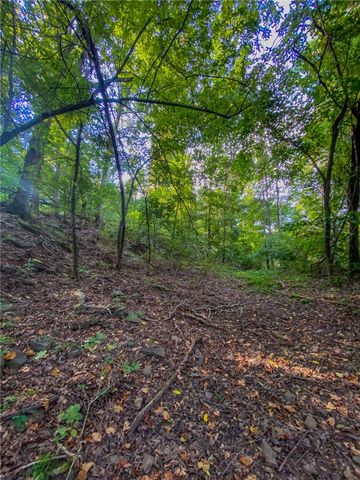 TBD Bug Scuffle Road, West Fork, AR 72774