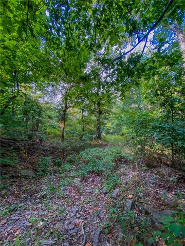 TBD Bug Scuffle Road, West Fork, AR 72774