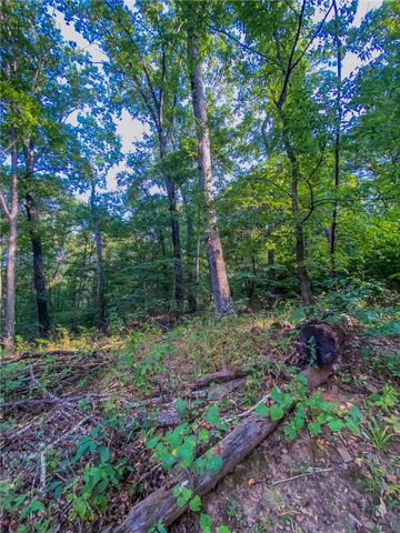 TBD Bug Scuffle Road, West Fork, AR 72774