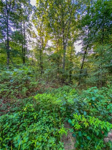 TBD Bug Scuffle Road, West Fork, AR 72774