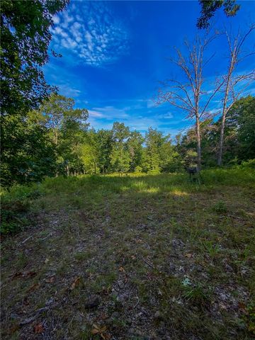 TBD Bug Scuffle Road, West Fork, AR 72774