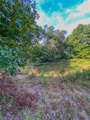 TBD Bug Scuffle Road, West Fork, AR 72774