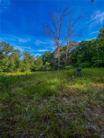 TBD Bug Scuffle Road, West Fork, AR 72774