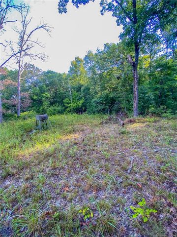 TBD Bug Scuffle Road, West Fork, AR 72774