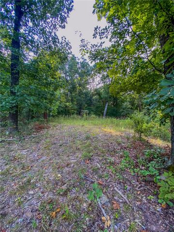 TBD Bug Scuffle Road, West Fork, AR 72774